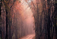 开云APP-黄黑锋线狂飙！多特蒙德进攻风暴席卷德甲