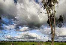 开云体育APP下载-红龙折戟索菲亚！贝尔熄火夜，威尔士小组出线亮红灯