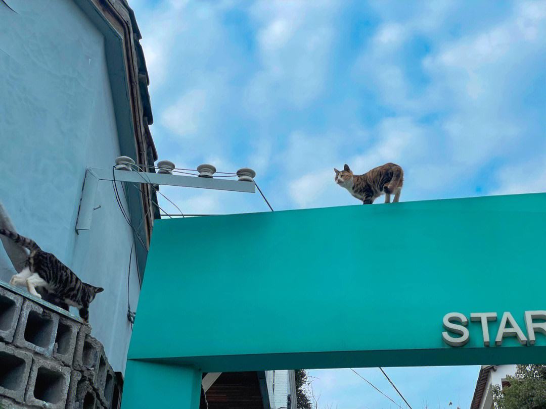 包含东京国立竟然平局，波澜不惧的词条