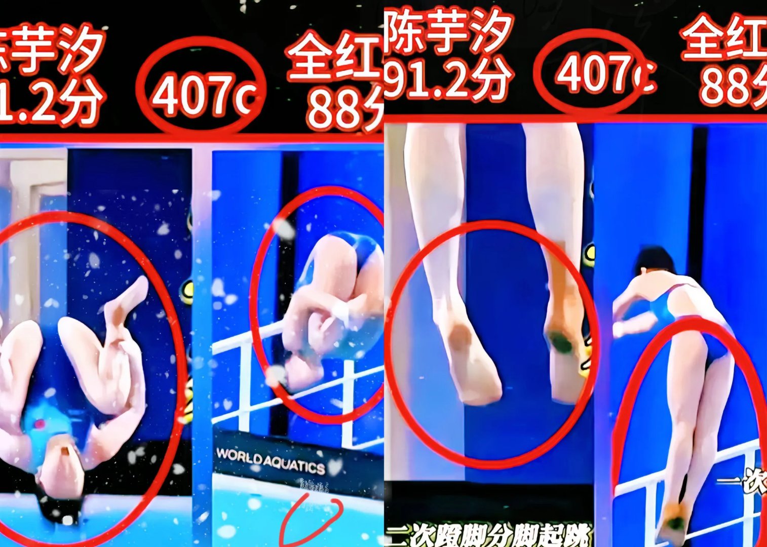 中国跳水选手包揽男女四个项目冠军 中国跳水选手包揽男女四个项目冠军