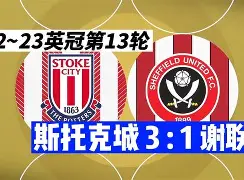 多佛科斯岩城主场失利，英冠冲级大业宛如梦幻