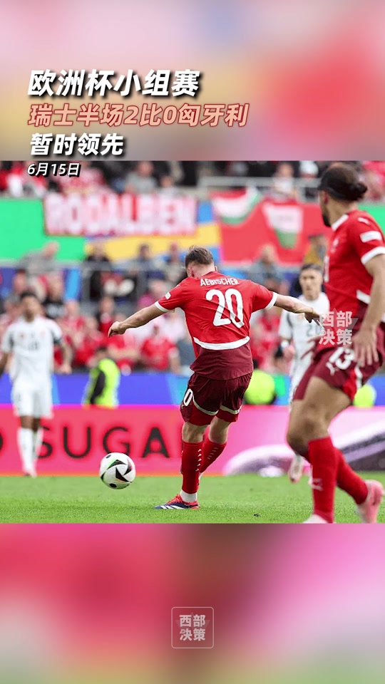 匈牙利战胜爱尔兰,晋级的关键 匈牙利战胜爱尔兰,晋级的关键