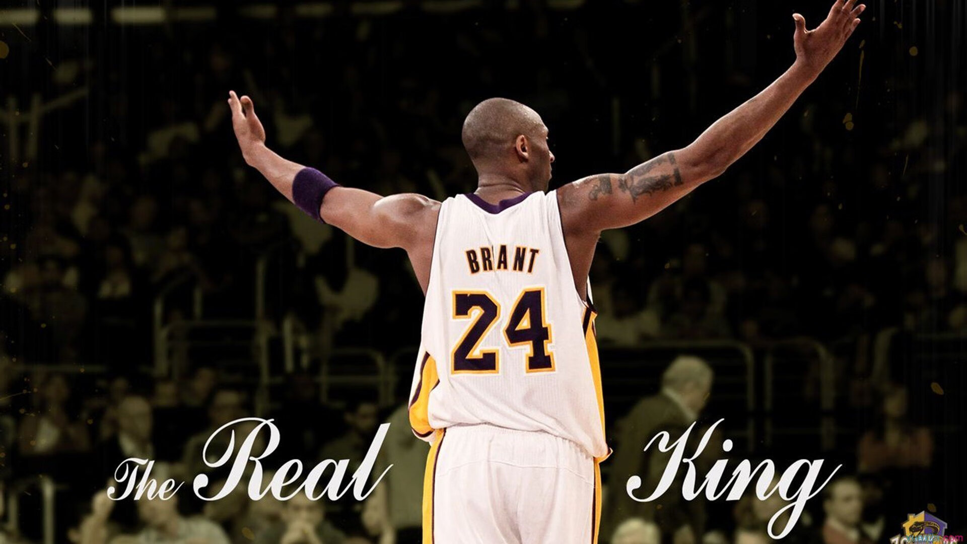 开云体育-当雄鹿撞碎东方明珠，库里一箭穿心的跨界风暴